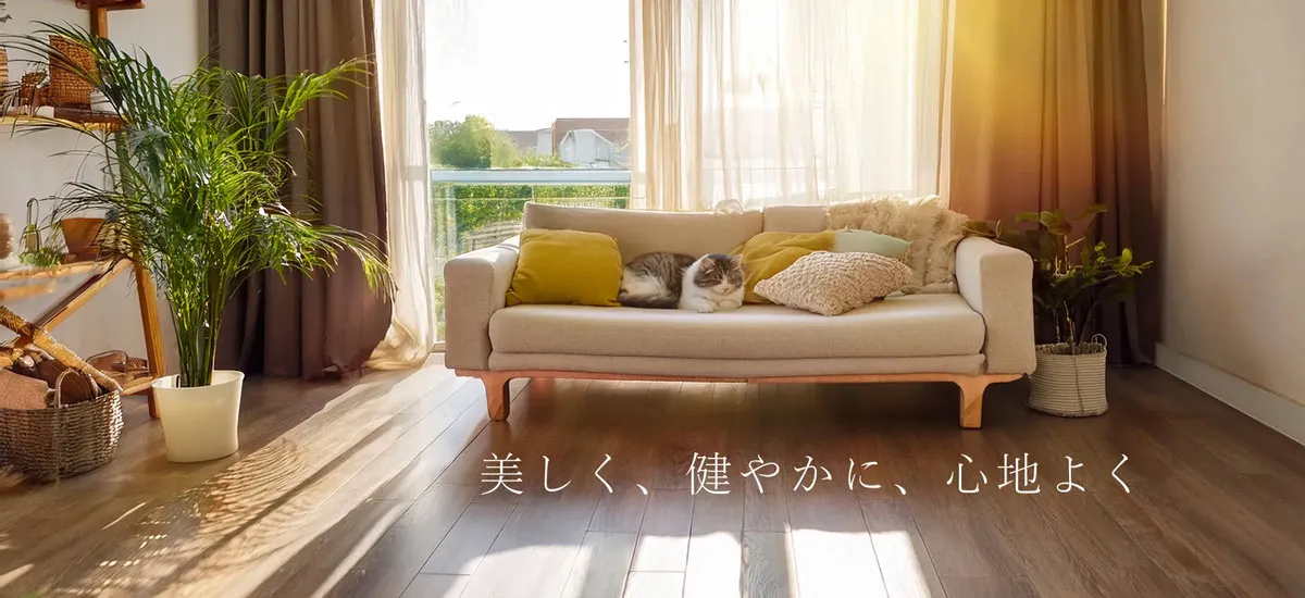 美しく、健やかで、心地よい部屋のイメージ写真